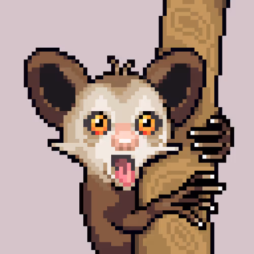aye-aye