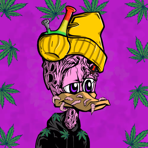 Stoned Duck Lifestyle Club