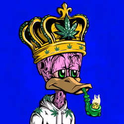 StonedDuck #244