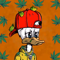 StonedDuck #555