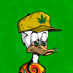 StonedDuck #70