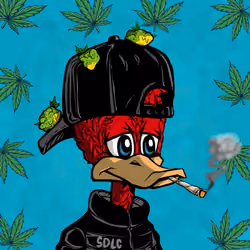 StonedDuck #536
