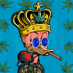 StonedDuck #3813