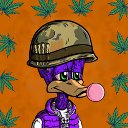 StonedDuck #2172