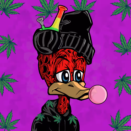Stoned Duck Lifestyle Club