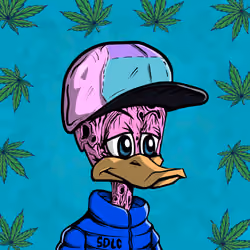 StonedDuck #435