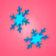 Snowflake Earrings