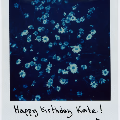 Birthday Polaroids by zzabegin