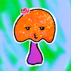 Some Shrooms #3795