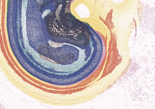 Item #242072774 Media