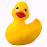 Display Picture