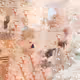 73186562991033452279615156772342934244841460622896083955773930581557463384163
