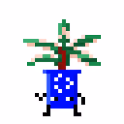 Plant Fren #352