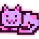 6255