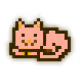 24292