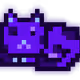 20584