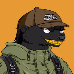Honey Badgers Art