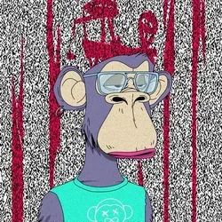 50