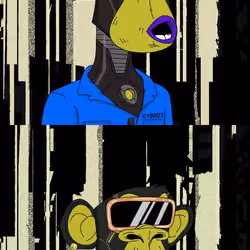 XCOPY APE #386