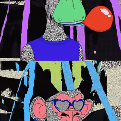 XCOPY APE #55