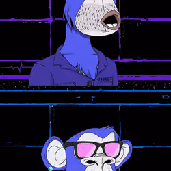 XCOPY APE #127
