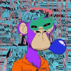 XCOPY APE #492