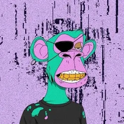 404