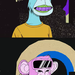 116