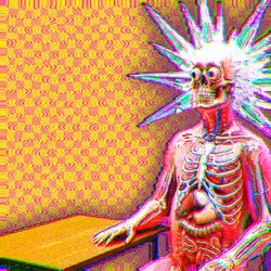 24