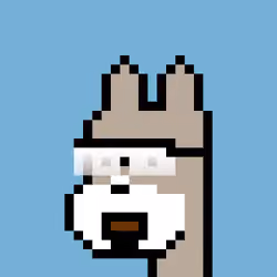 64