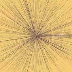 Explosion #132