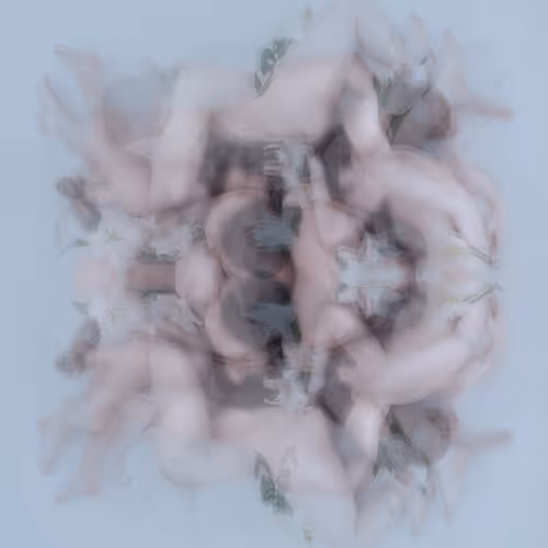 Echo 226619310