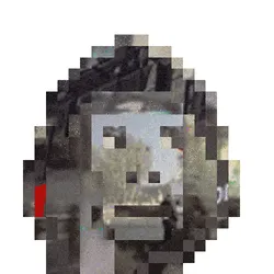 244