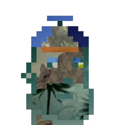 263