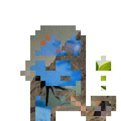 Item #251 Media