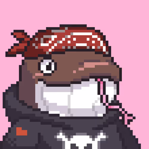 Lookswhaleofficial