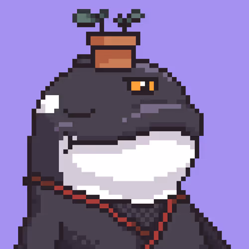 Lookswhaleofficial