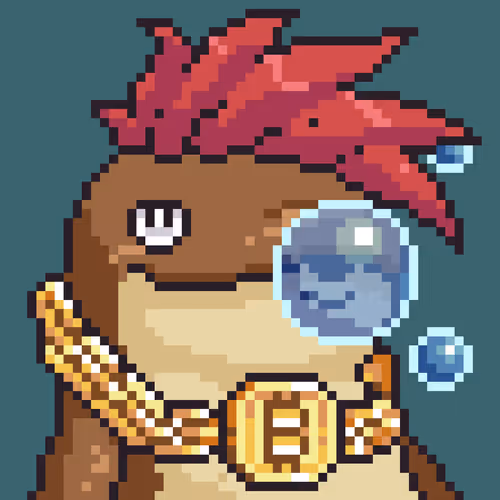 Lookswhaleofficial