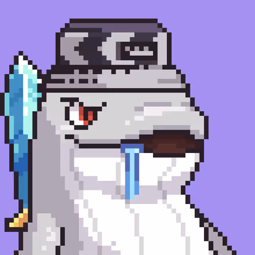 Lookswhaleofficial