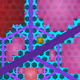 29604565922121646321313590846563834396768