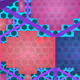 31305977756726338638630463883722675454040