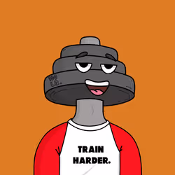 256