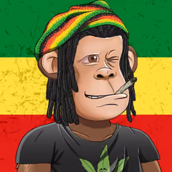 The Ape Project Customs #8