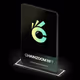 161