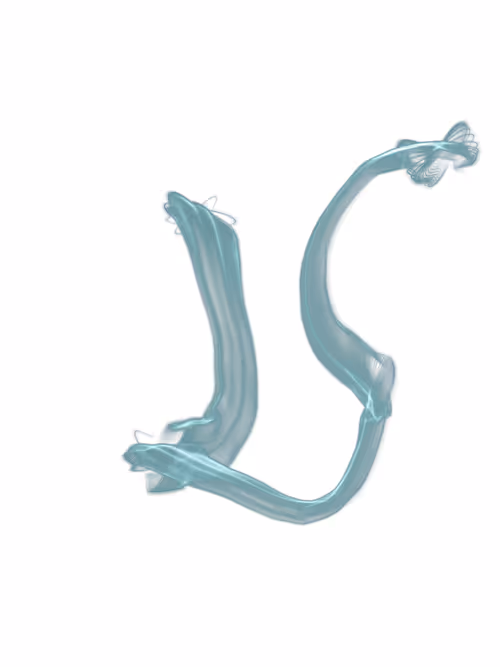 Item #3000000006 Media