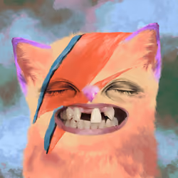 Cursed Cat #913