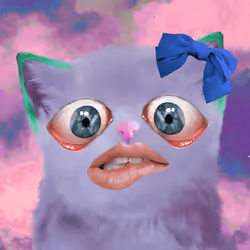 Cursed Cat #351