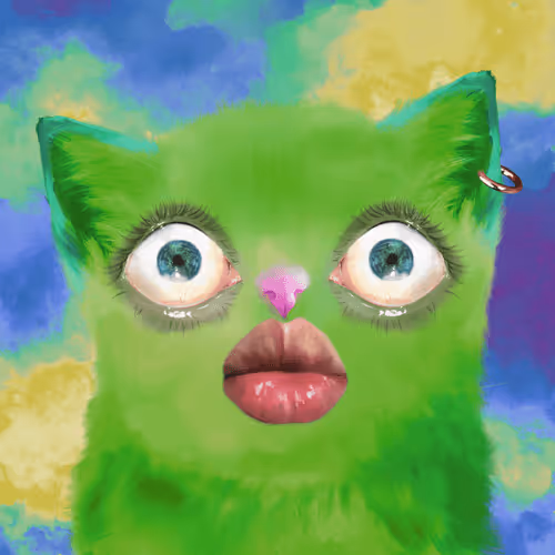 The Cursed Cats