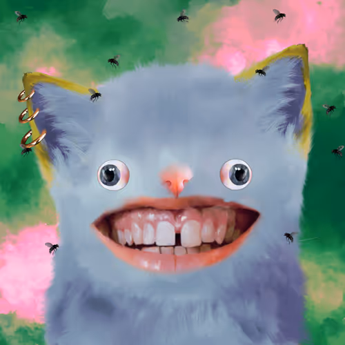 The Cursed Cats