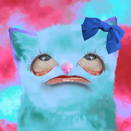 The Cursed Cats